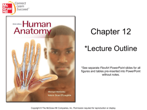 Chapter 12 *Lecture Outline FlexArt PowerPoint figures and tables pre-inserted into PowerPoint
