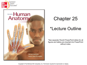 Chapter 25 *Lecture Outline FlexArt PowerPoint figures and tables pre-inserted into PowerPoint
