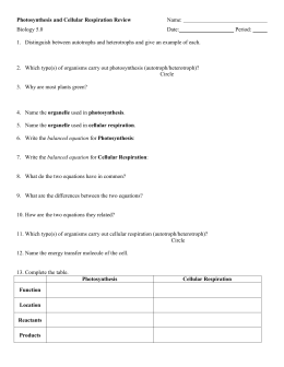 Cell Processes Photosynthesis Respiration Flash Cards Photosynthesis And Cellular Respiration Review Name Biology 5 0