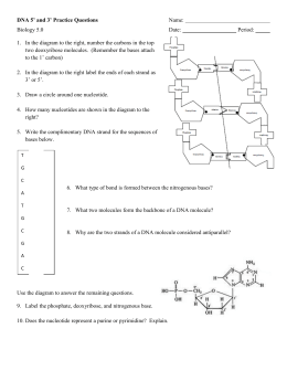 dna the thread of life essay dna the thread of life essay