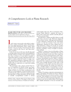 A Comprehensive Look at Flame Research Richard G. Gann