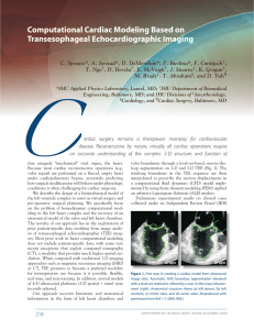 Computational Cardiac Modeling Based on Transesophageal Echocardiographic Imaging