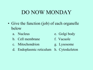 DO NOW MONDAY • Give the function (job) of each organelle below