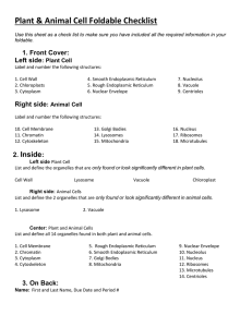 Plant &amp; Animal Cell Foldable Checklist