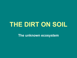THE DIRT ON SOIL The unknown ecosystem