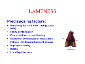 LAMENESS Predisposing factors: