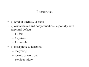 Lameness