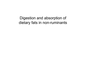 Digestion and absorption of dietary fats in non-ruminants