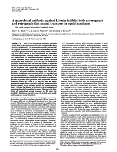 retrograde squid antibody against kinesin inhibits both anterograde A