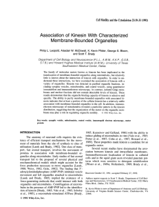 of Association Kinesin With Characterized Membrane-Bounded Organelles