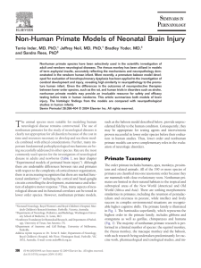 Non-Human Primate Models of Neonatal Brain Injury Bradley Yoder, MD,