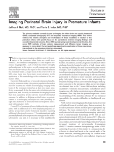 Imaging Perinatal Brain Injury in Premature Infants