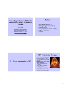 Outline Tumor Segmentation in PET and in Multimodality Images for Radiation Therapy