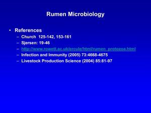 Rumen Microbiology References