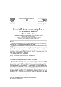 Is poly(ADP-ribose) polymerase involved in bovine placental retention? M. Kankofer , L. Guz