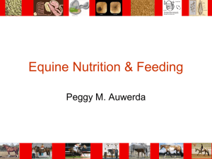 Equine Nutrition &amp; Feeding Peggy M. Auwerda
