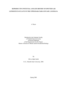A Thesis Submitted to the Graduate Faculty of Nicholls State University