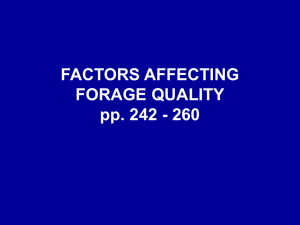 FACTORS AFFECTING FORAGE QUALITY pp. 242 - 260