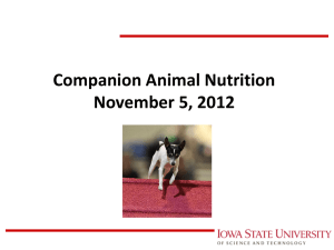 Companion Animal Nutrition November 5, 2012  M.E. Persia