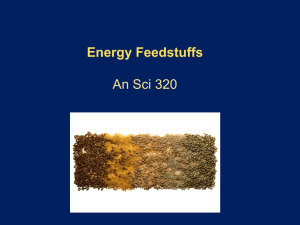 Energy Feedstuffs An Sci 320