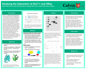 Studying the Interaction of GluT-1 and HRas