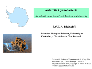 Antarctic Cyanobacteria PAUL A. BROADY School of Biological Sciences, University of