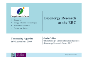 Bioenergy Research at the ERC Connecting Agendas 16