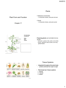Plants Plant Form and Function 6/4/2012 Chapter 17