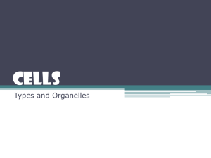 Cells Types and Organelles