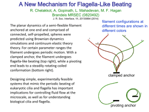 A New Mechanism for Flagella-Like Beating