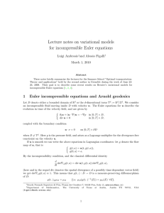 Lecture notes on variational models for incompressible Euler equations Luigi Ambrosio