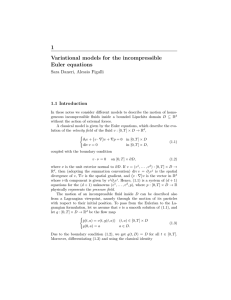 1 Variational models for the incompressible Euler equations Sara Daneri, Alessio Figalli
