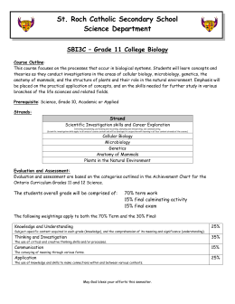Custom seo article writing service