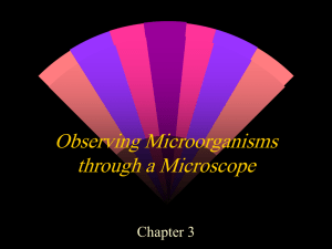 Observing Microorganisms through a Microscope Chapter 3