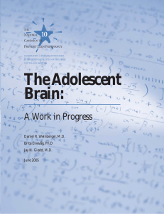 The Adolescent Brain: A Work in Progress Daniel R. Weinberger, M.D.