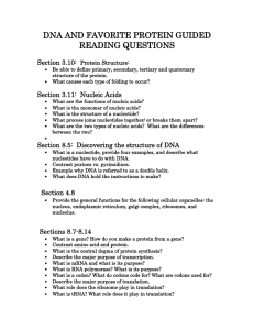 DNA AND FAVORITE PROTEIN GUIDED READING QUESTIONS  Section 3.10:
