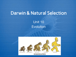 Darwin &amp; Natural Selection Unit 10 Evolution