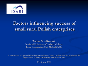 Factors influencing success of small rural Polish enterprises Wadim Strielkowski,
