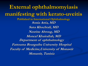 External ophthalmomyiasis manifesting with kerato-uveitis