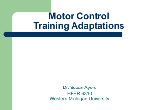 Motor Control Training Adaptations Dr. Suzan Ayers HPER 6310