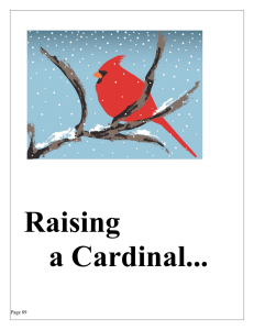Raising a Cardinal... Page 89