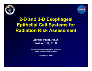 2-D and 3-D Esophageal Epithelial Cell Systems for Radiation Risk Assessment