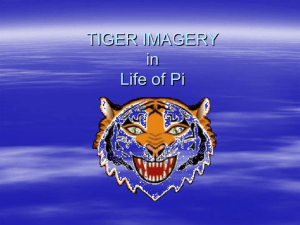 TIGER IMAGERY in Life of Pi