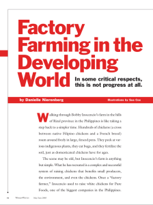 Factory Farming in the Developing World