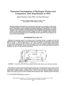 Numerical Investigation of Hydrogen Plumes and Comparison with Experiments in STG