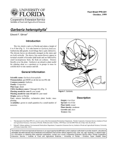 Garberia heterophylla Introduction October, 1999 Fact Sheet FPS-221