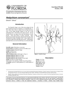Hedychium coronarium Introduction October, 1999 Fact Sheet FPS-240
