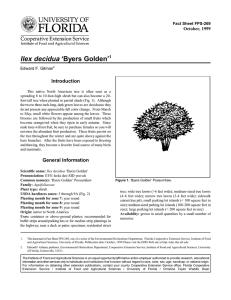 Ilex decidua ‘Byers Golden’ Introduction October, 1999 Fact Sheet FPS-269