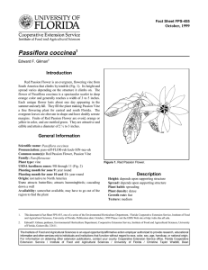 Passiflora coccinea Introduction October, 1999 Fact Sheet FPS-455