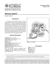Serenoa repens Introduction October, 1999 Fact Sheet FPS-547